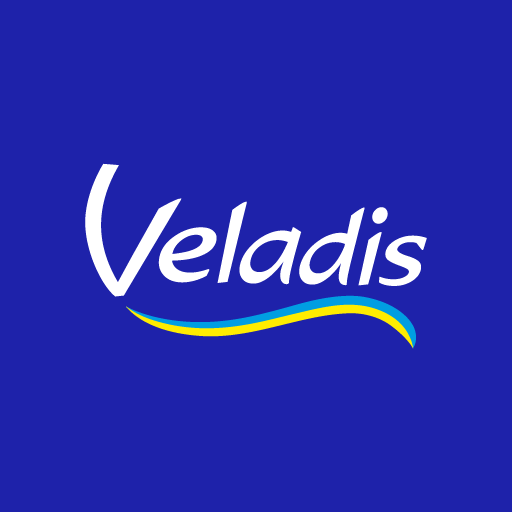 Логотип Veladis