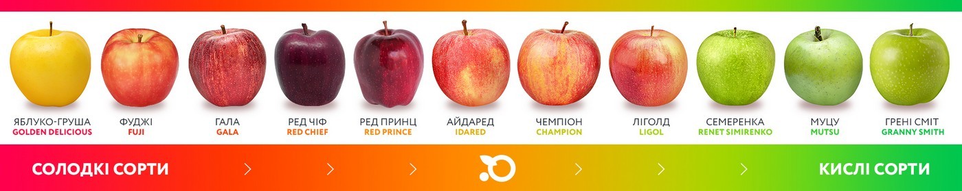 Сорта яблок от сладких до кислых