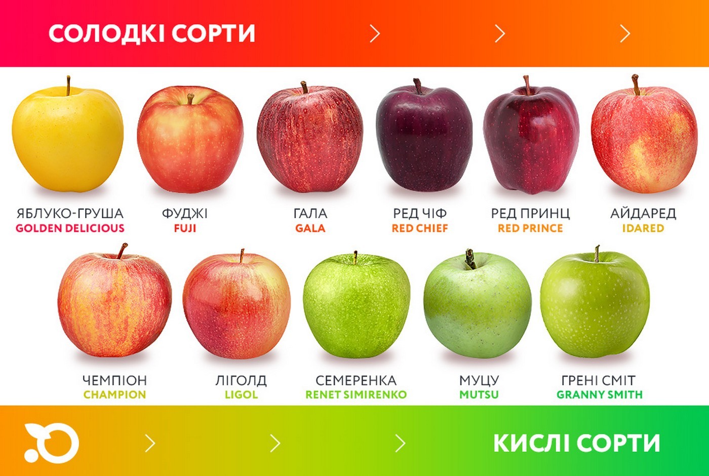 ССорта яблок от сладких до кислых