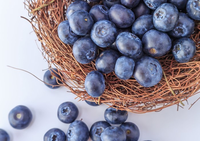 Чорниця (фото 2)