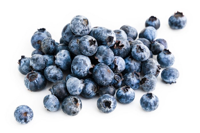 Лохина (фото 2)