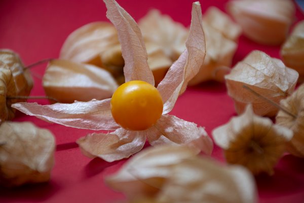 Экзотические фрукты и их особенности