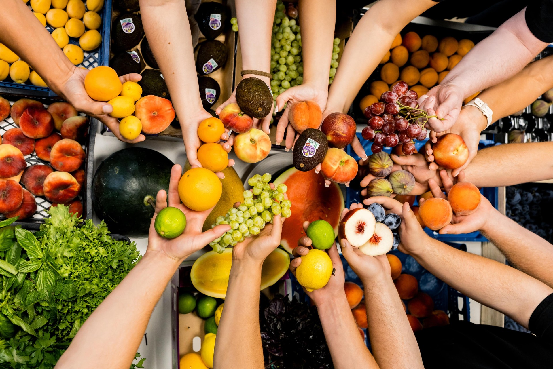 Фрукти та овочі від FRUIT TIME