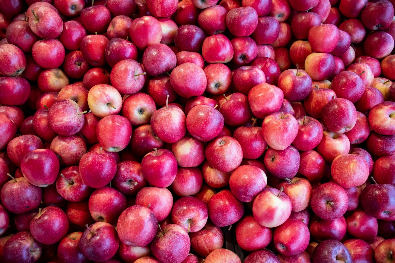 Яблуки Фуджи (фото 2)