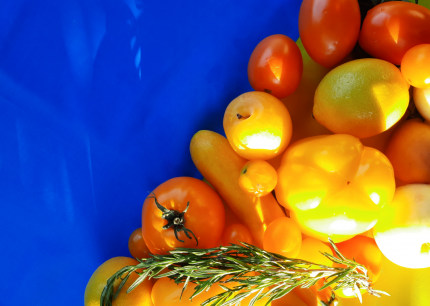 FRUIT TIME: делаем всё для победы!