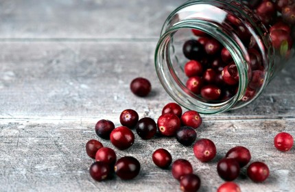 Незаперечна користь журавлини для організму людини
