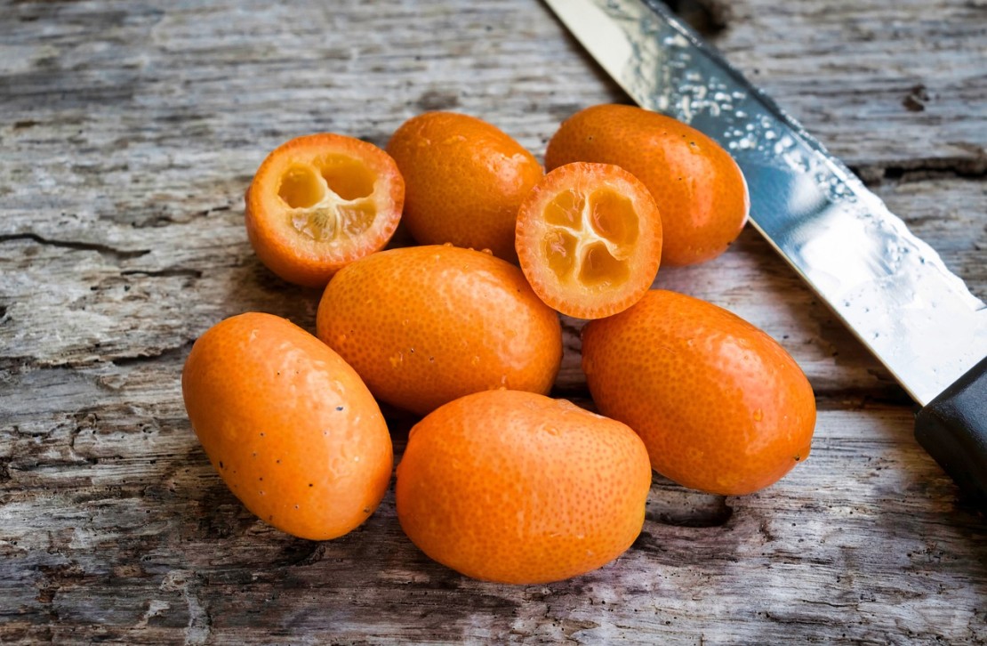 Кумкват – вкусный экзотический цитрусовый фрукт