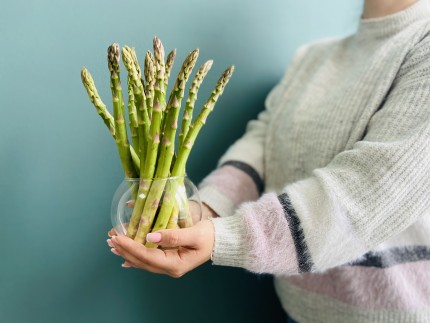 Путеводитель по спарже