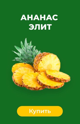 Ананас Элит
