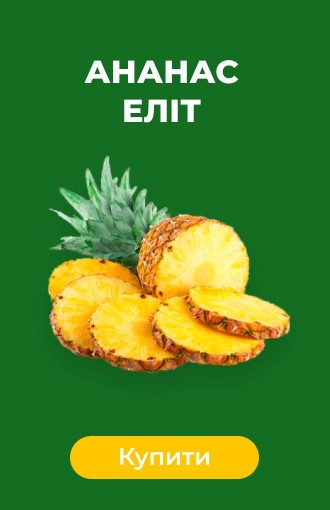 Ананас Элит