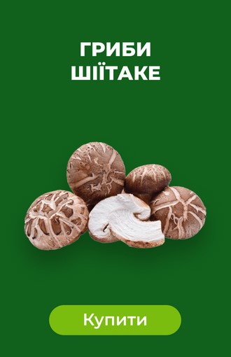 Гриби шіїтаке