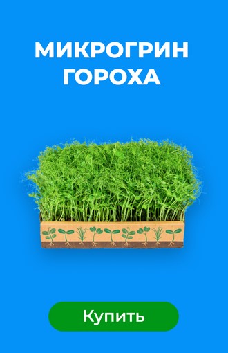Микрогрин гороха