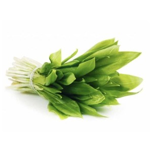 Черемша свежая, пучок