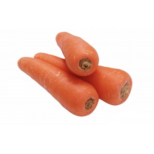 Морква молода