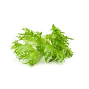 Салат Фриллис свежий