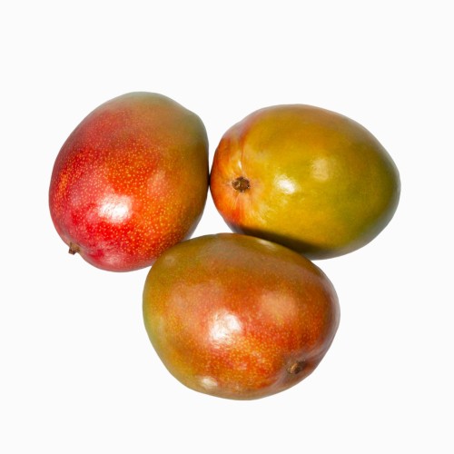 Манго Agrodan 6 калибр штучный