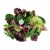 Микс салат №3 (бионда, руккола, шпинат, радичио, фризе) 250г