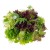Микс салат №7 (бионда, росса, руккола, фризе, радичио, мангольд) 250г