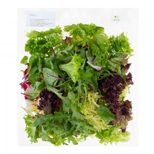 Микс салат №7 (бионда, росса, руккола, фризе, радичио, мангольд) 250г