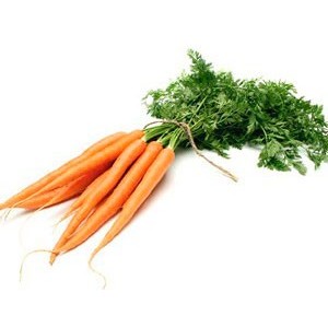 Морковь молодая в пучке