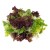 Микс салат №12 (бионда, росса, рукола, мангольд, айзберг, радічіо, фрізе) 500г