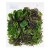 Микс салат №9 (руккола, мангольд, шпинат, мизуна) 250г
