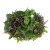 Микс салат №9 (руккола, мангольд, шпинат, мизуна) 250г