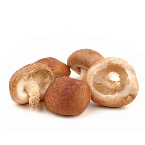 Shiitake Mushroom Extract