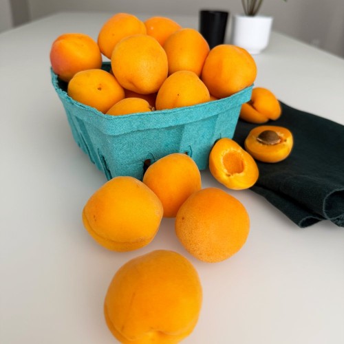 Абрикос Україна