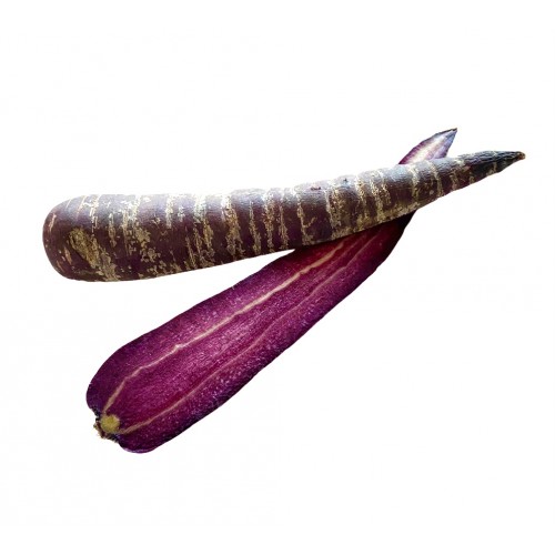 Морковь фиолетовая