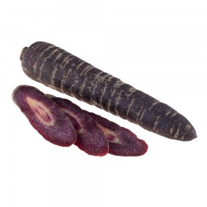 Морковь фиолетовая