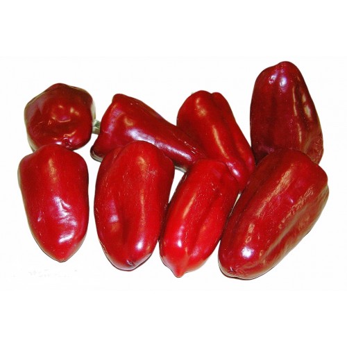 Перець білозерка червоний