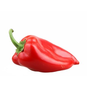 Перець білозерка червоний