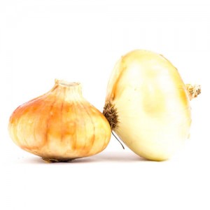 Цибуля ріпчаста молода