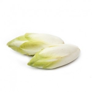 Цикорий белый