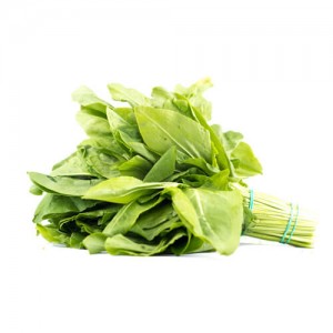 Щавель свежий