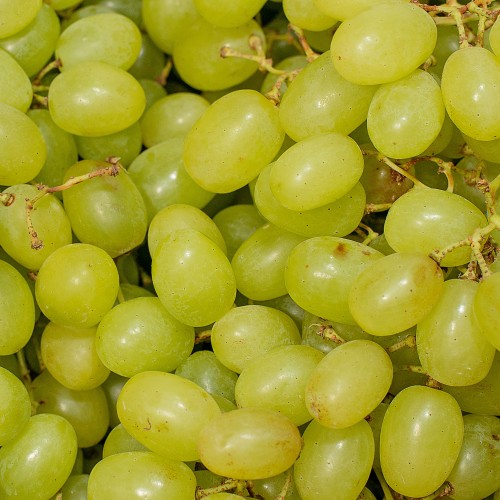 Виноград зелёный Кишмиш