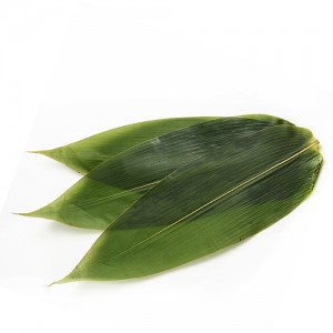 Лист бамбука, уп