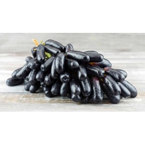 Виноград Сапфир