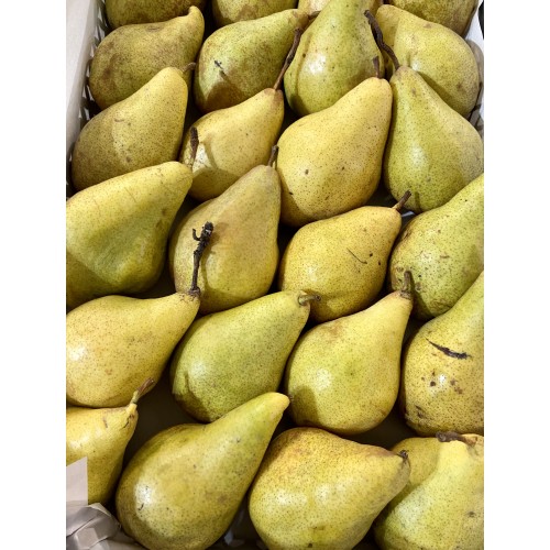 Груша Украина