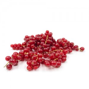 Порічка червона Україна