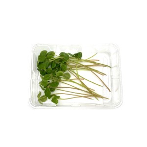 Листя цитра Citra Leaves