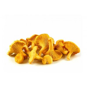 Грибы лисички свежие