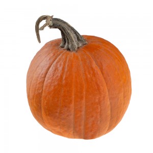 Гарбуз на декор