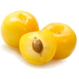 Слива жовта