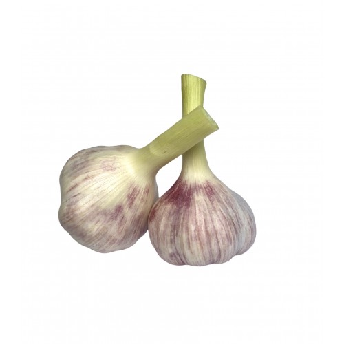 Чеснок молодой импортный