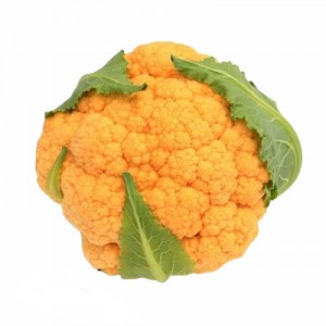 Капуста цвітна жовта 