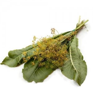 Набір для соління