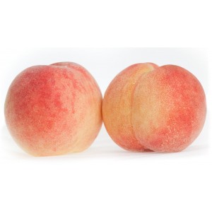 Персик Білий либідь