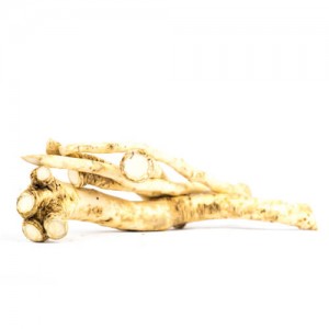 Корень хрена